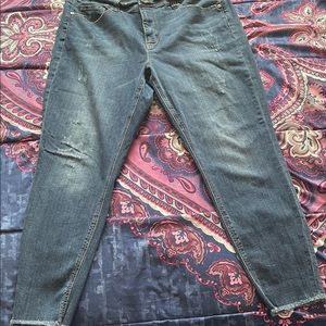 Melissa McCarthy Jeans